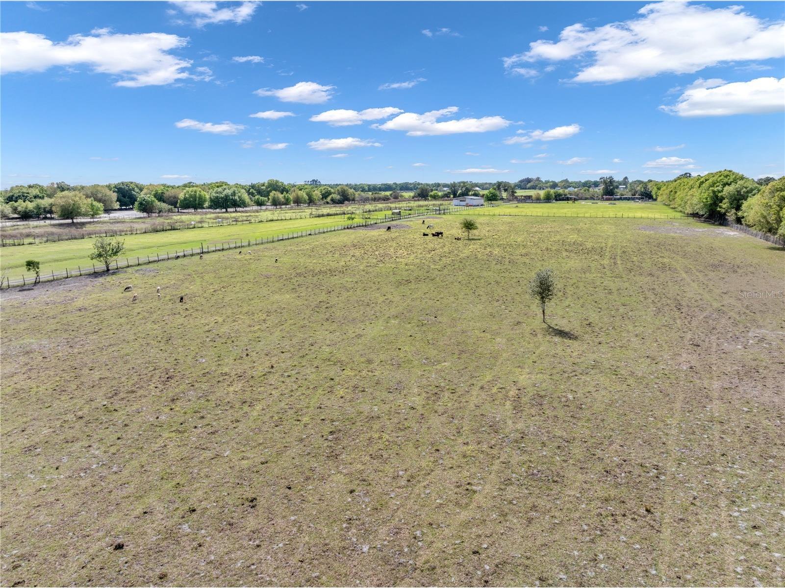 1333 Bluff Hammock Road Lorida FL 33857 TB8488100 image16