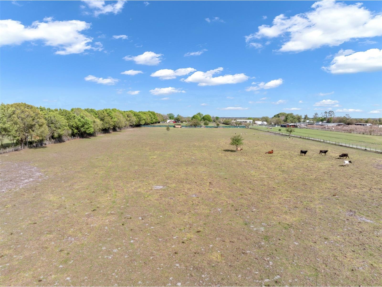 1333 Bluff Hammock Road Lorida FL 33857 TB8488100 image62