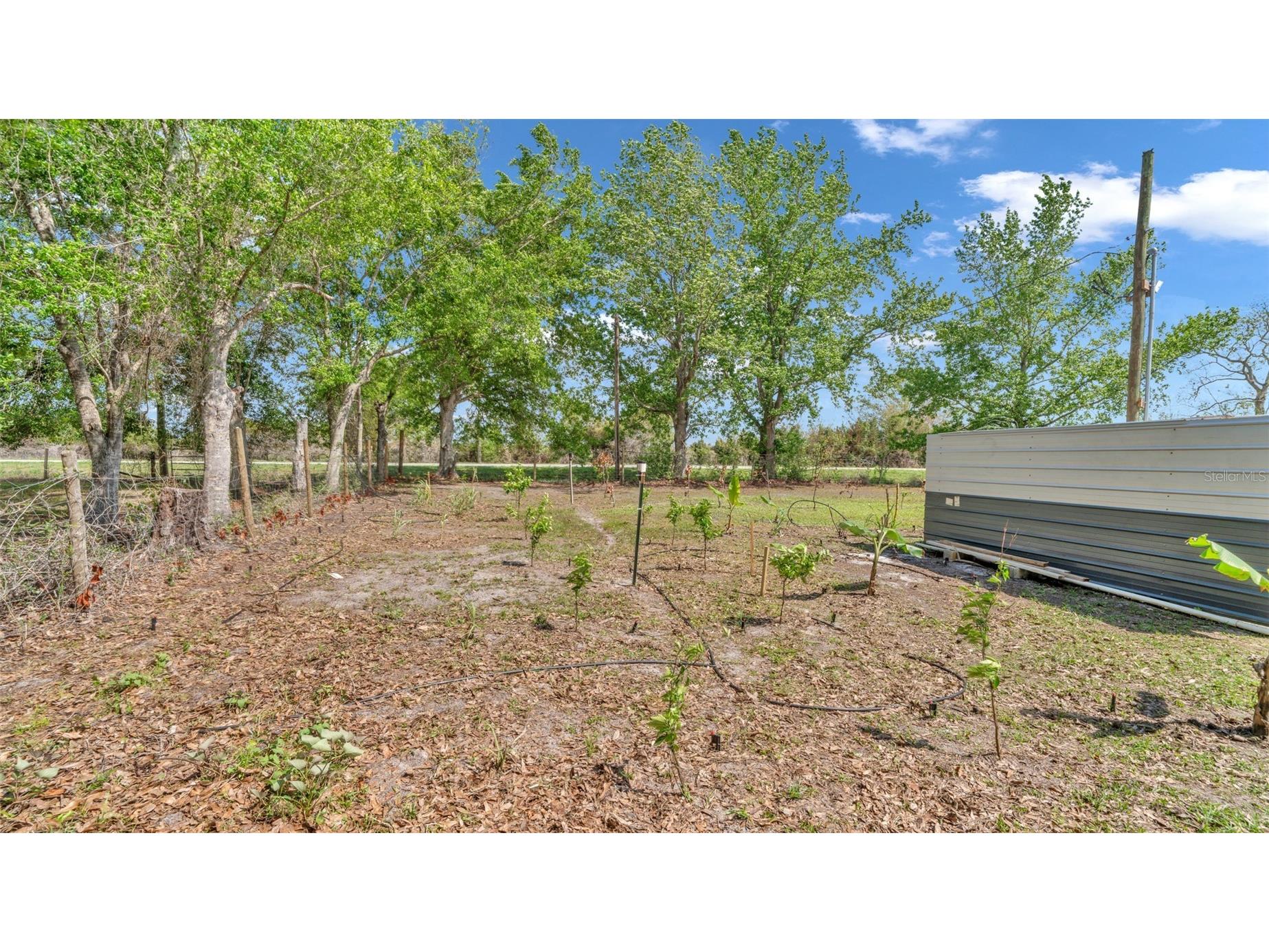 1333 Bluff Hammock Road Lorida FL 33857 TB8488100 image66