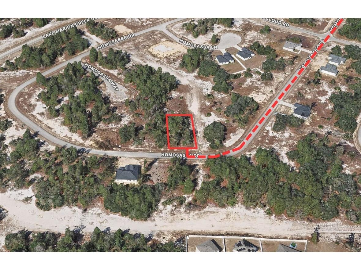 1333 Homosassa Drive Kissimmee FL 34759 OM714063 image1