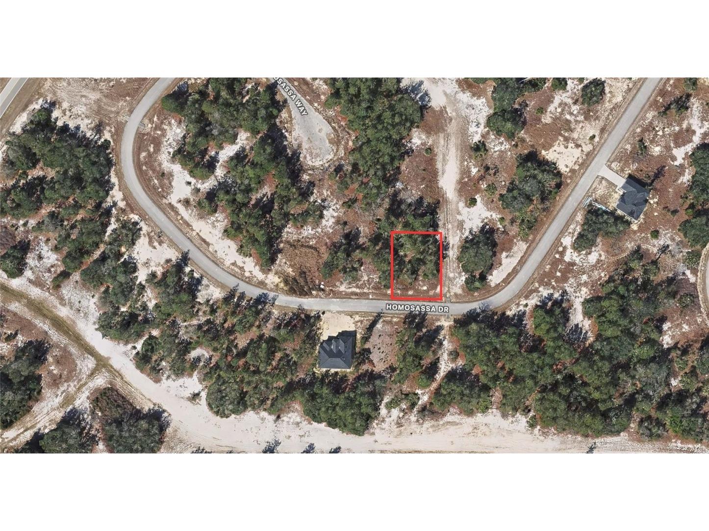 1333 Homosassa Drive Kissimmee FL 34759 OM714063 image2