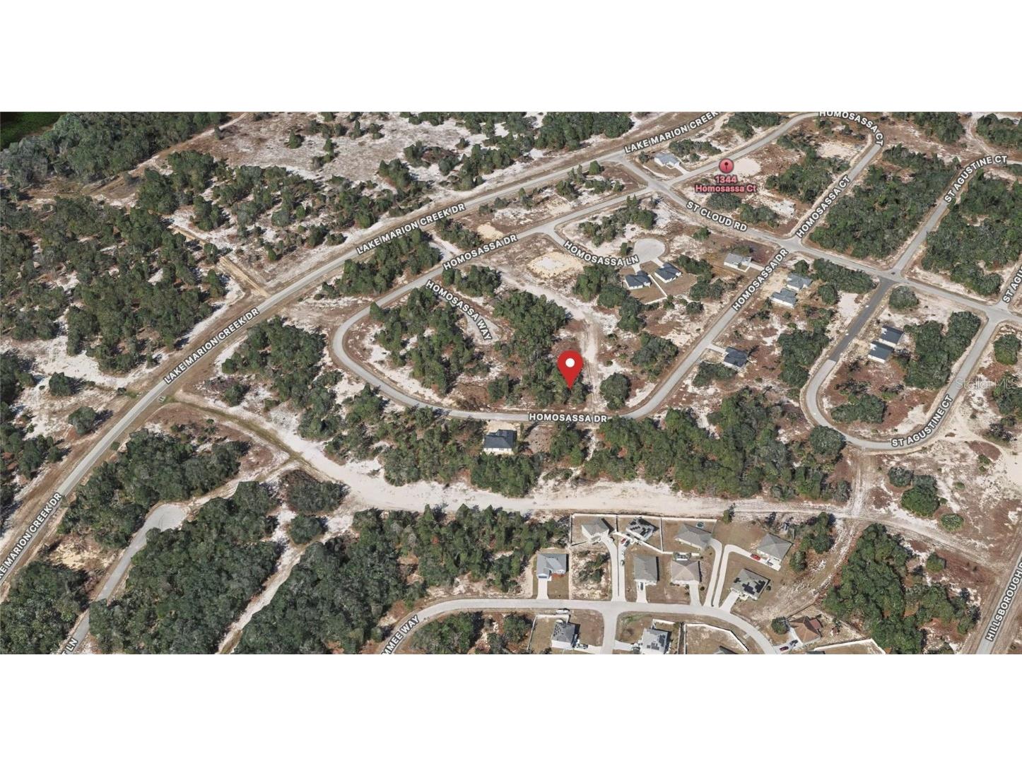 1333 Homosassa Drive Kissimmee FL 34759 OM714063 image3