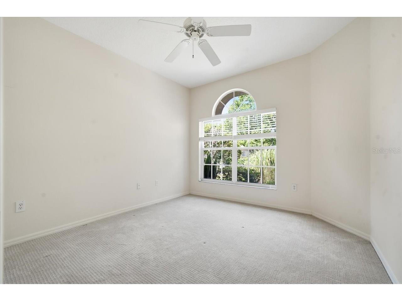 1333 Lindenwood Drive Tarpon Springs FL 34688 TB8526538 image14