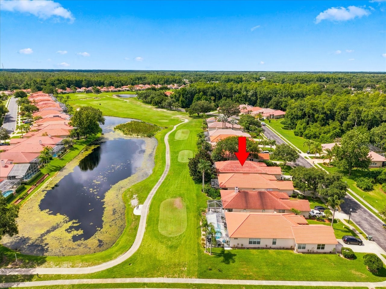 1333 Lindenwood Drive Tarpon Springs FL 34688 TB8526538 image20