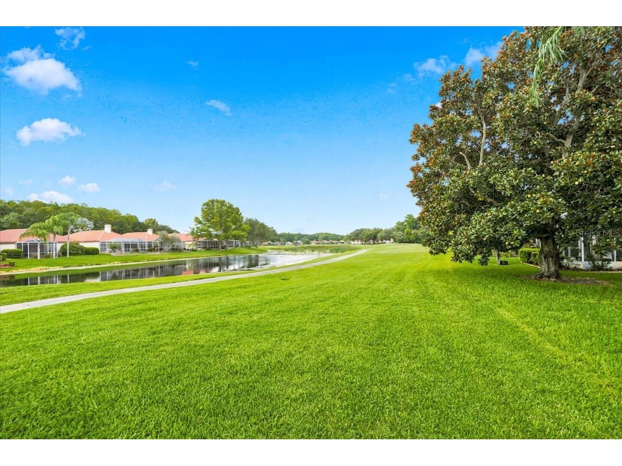 1333 Lindenwood Drive Tarpon Springs FL 34688 TB8526538 image27