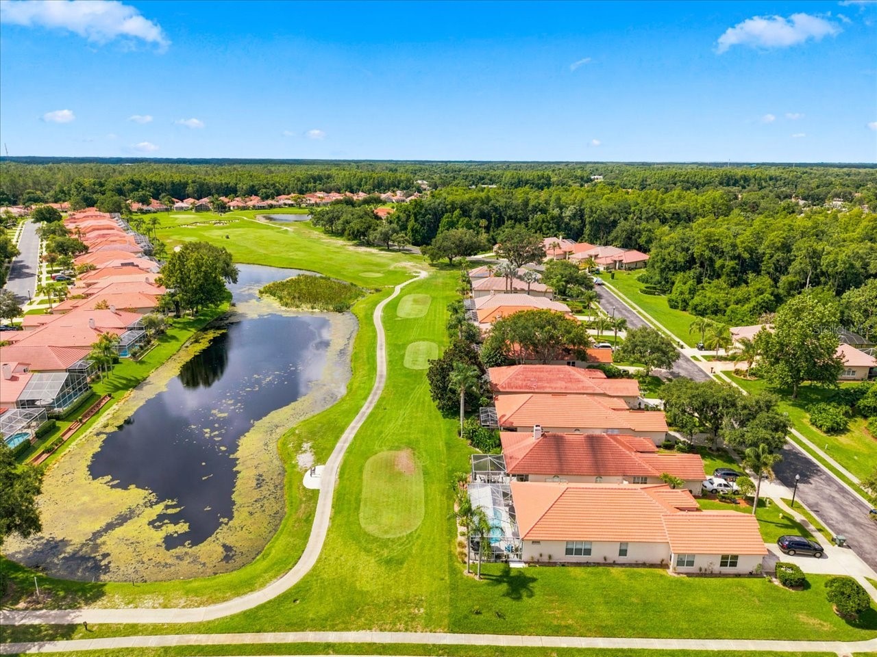 1333 Lindenwood Drive Tarpon Springs FL 34688 TB8526538 image32