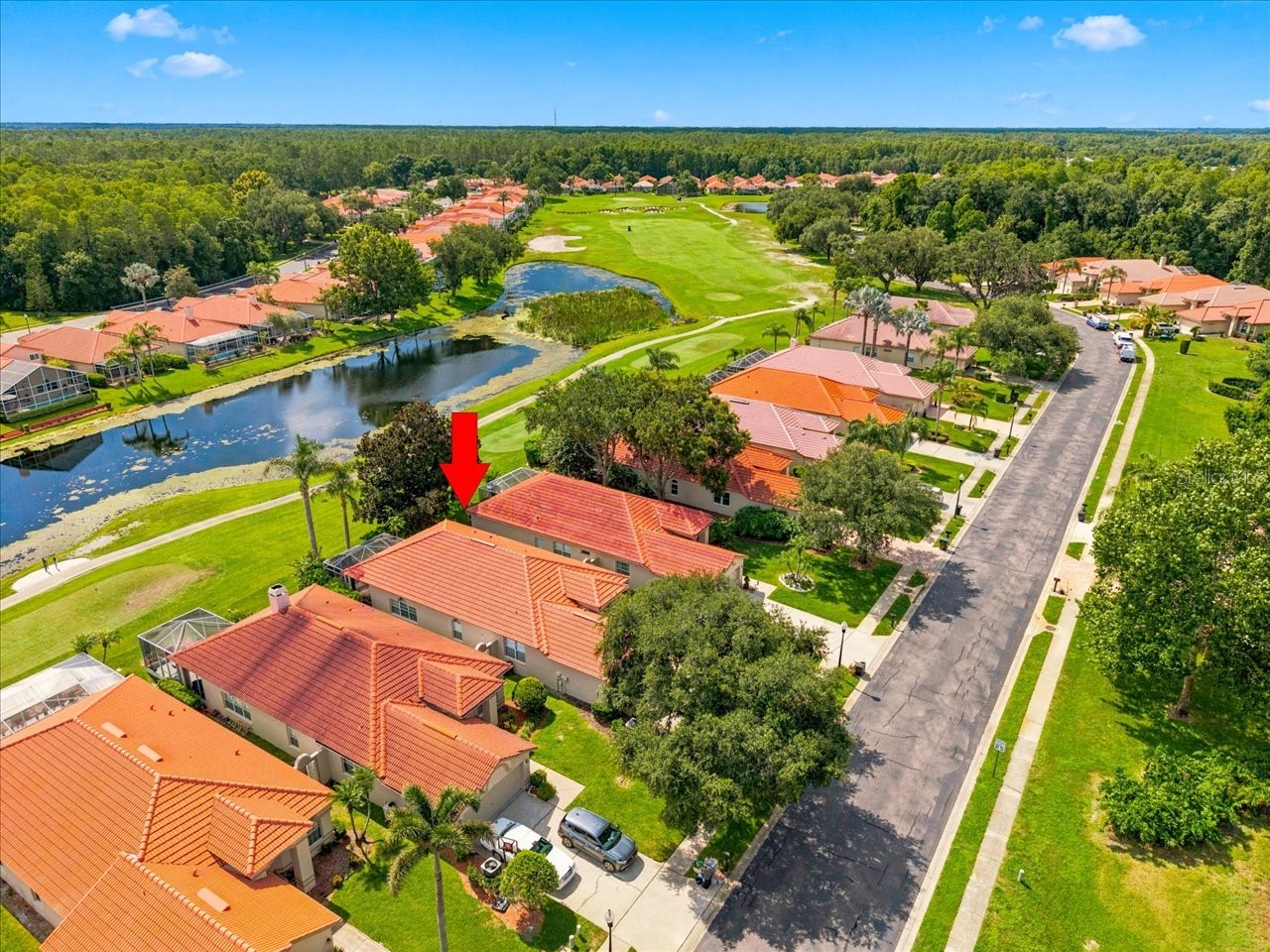 1333 Lindenwood Drive Tarpon Springs FL 34688 TB8526538 image33