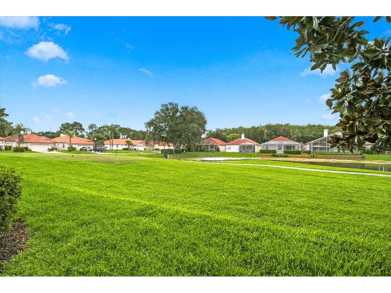 1333 Lindenwood Drive Tarpon Springs FL 34688 TB8526538 image40