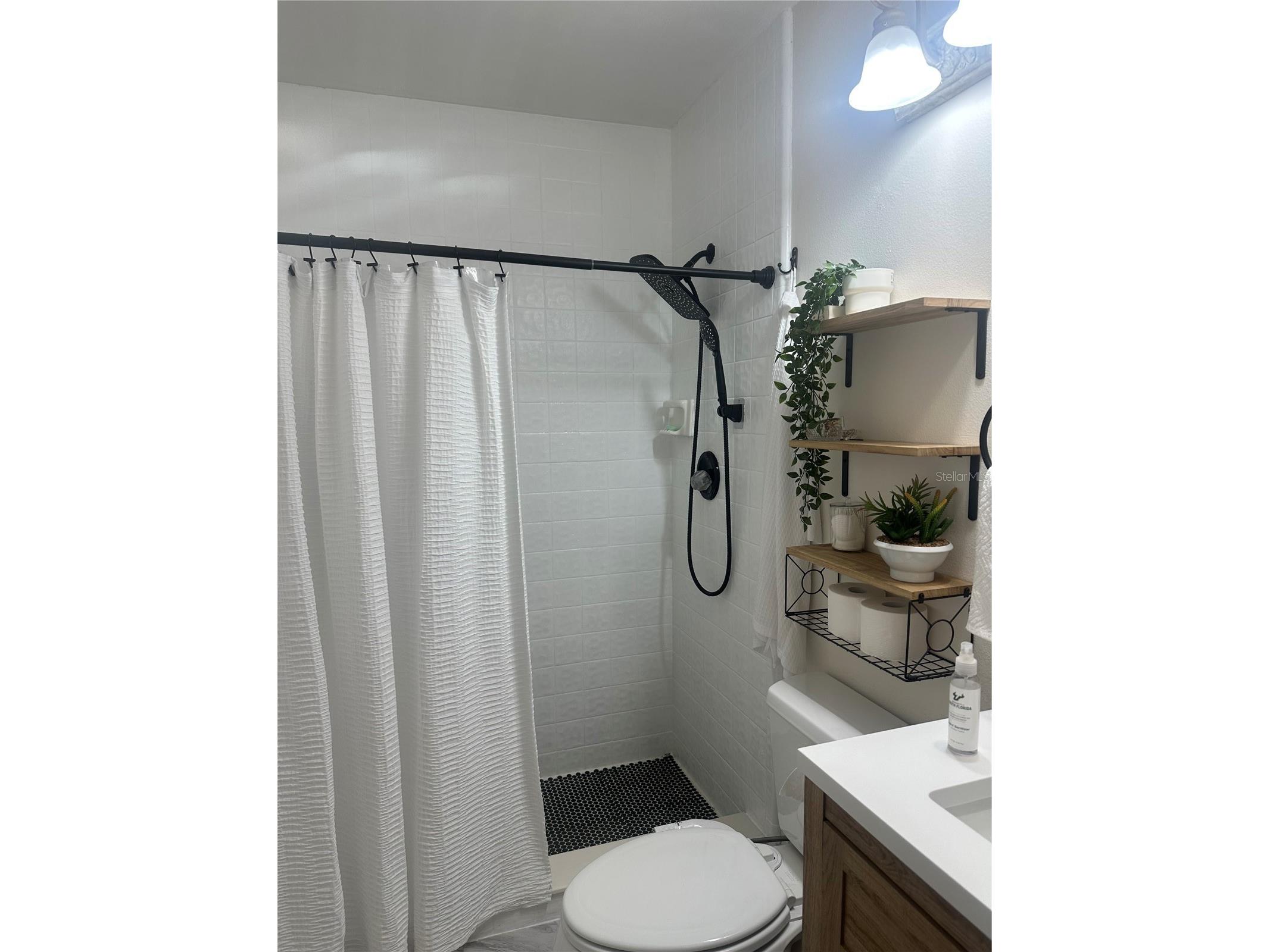 1333 Shady Pine Way #D Tarpon Springs FL 34688 TB8464204 image29