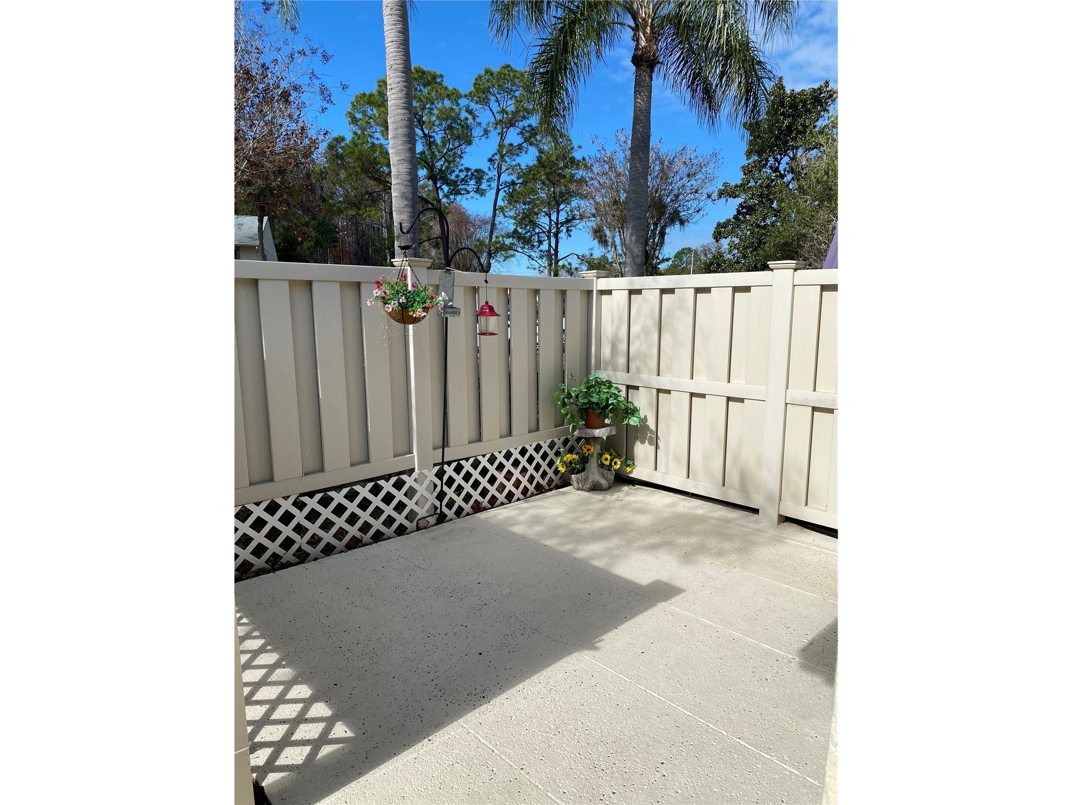 1333 Shady Pine Way #D Tarpon Springs FL 34688 TB8464204 image41
