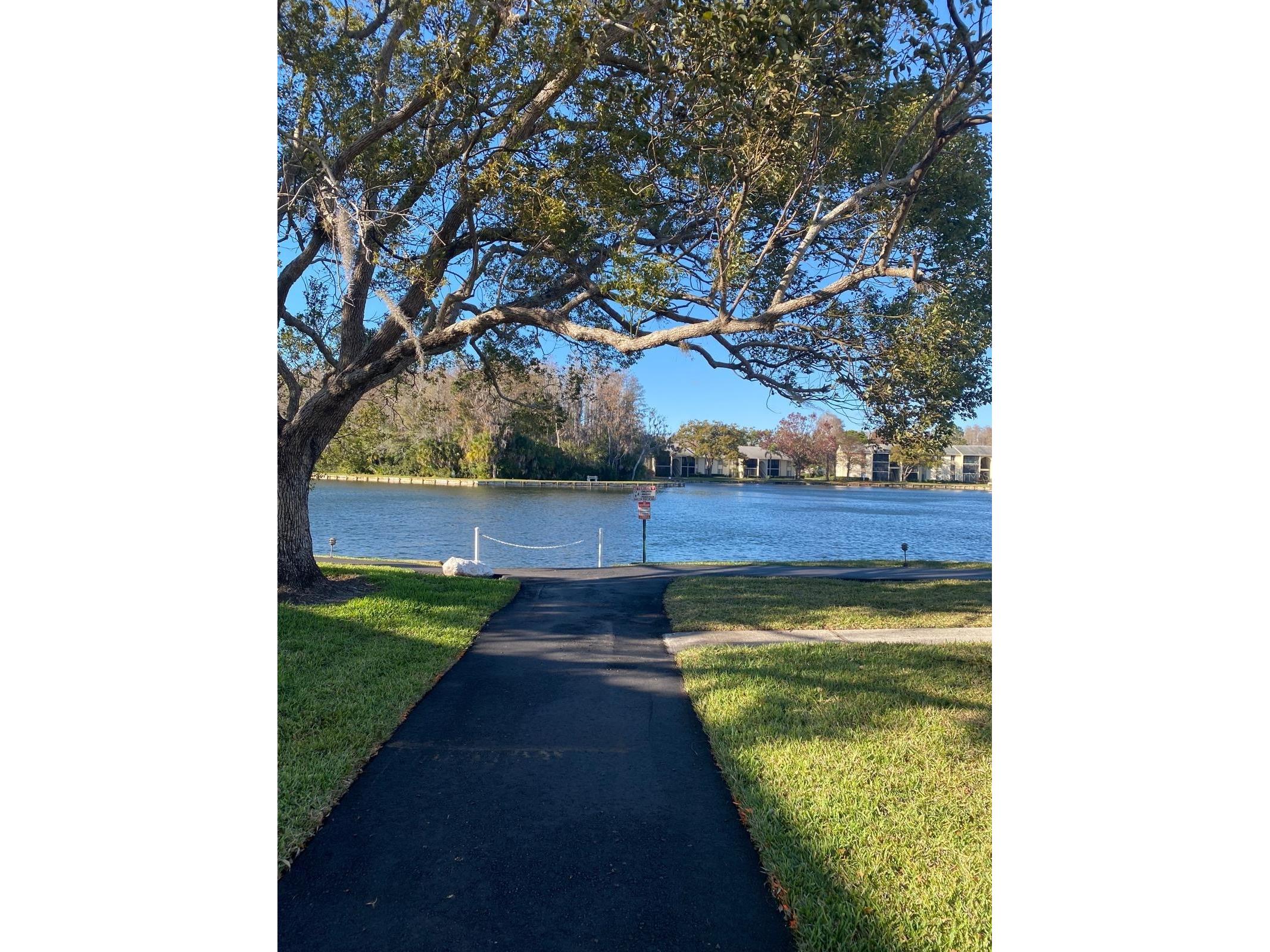 1333 Shady Pine Way #D Tarpon Springs FL 34688 TB8464204 image48