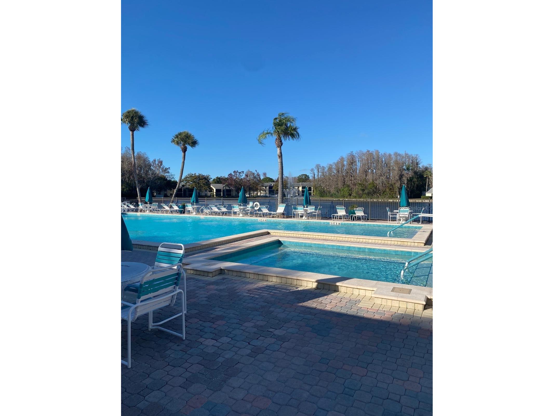1333 Shady Pine Way #D Tarpon Springs FL 34688 TB8464204 image49