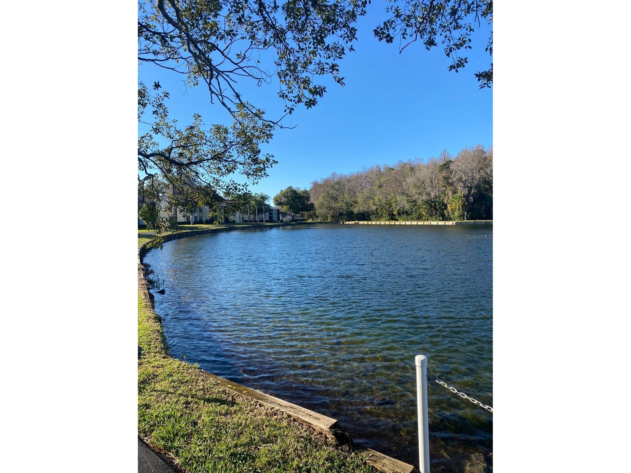 1333 Shady Pine Way #D Tarpon Springs FL 34688 TB8464204 image50