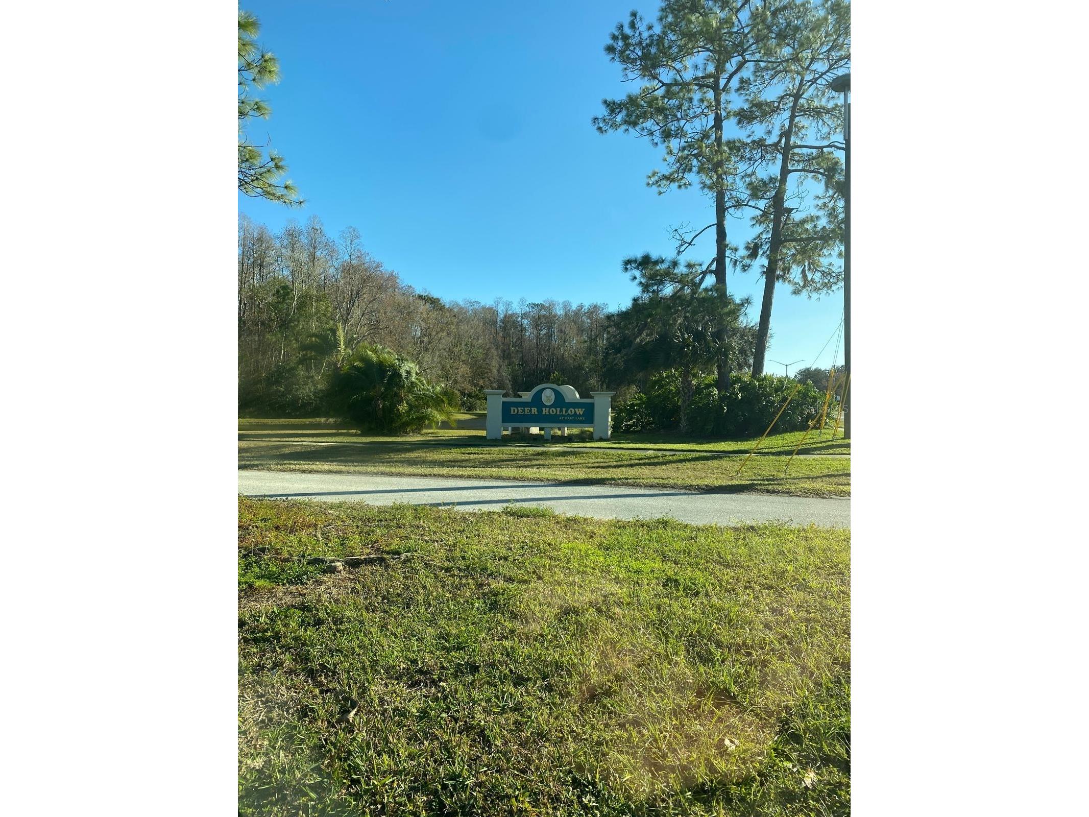 1333 Shady Pine Way #D Tarpon Springs FL 34688 TB8464204 image52