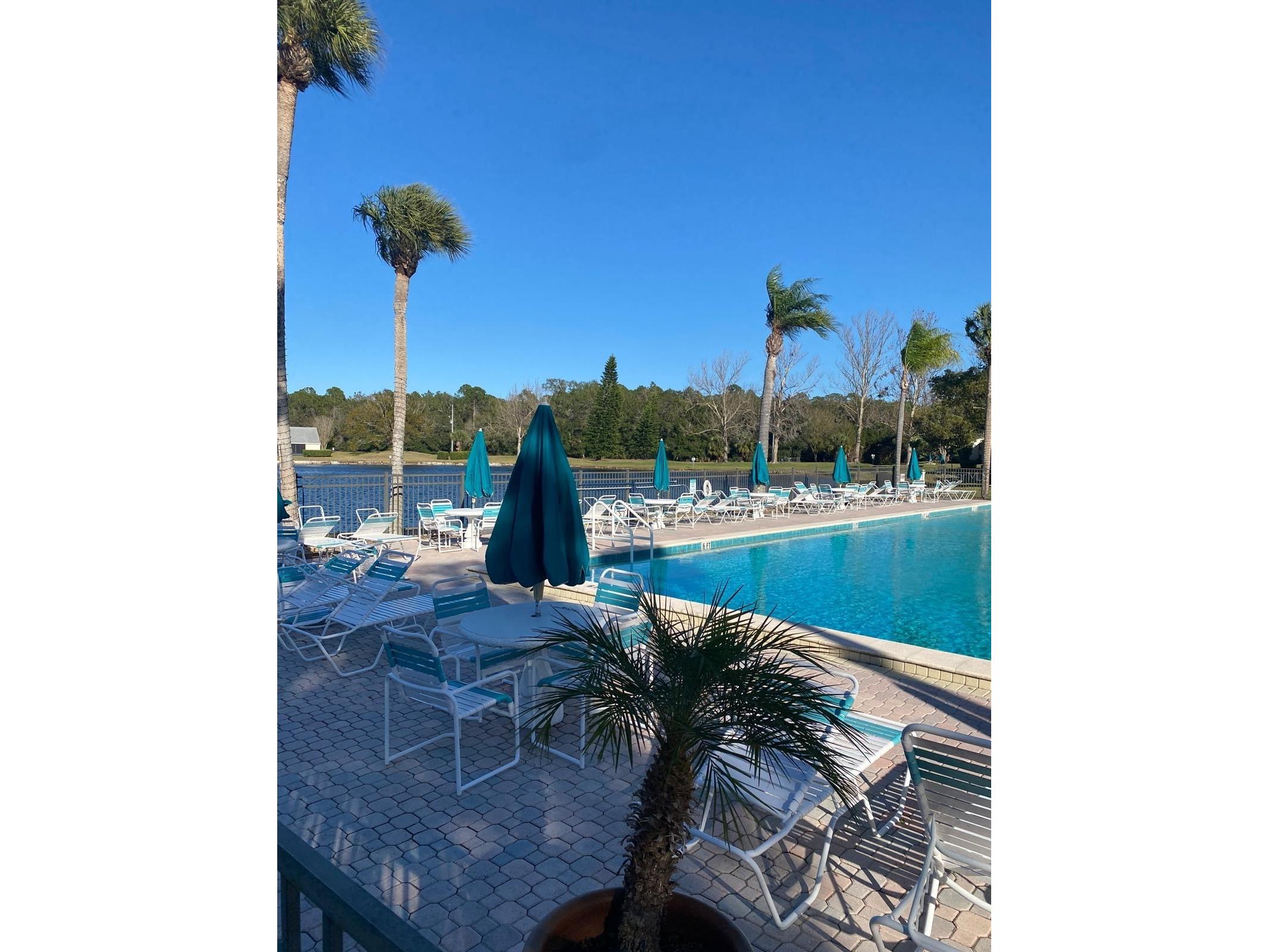 1333 Shady Pine Way #D Tarpon Springs FL 34688 TB8464204 image53