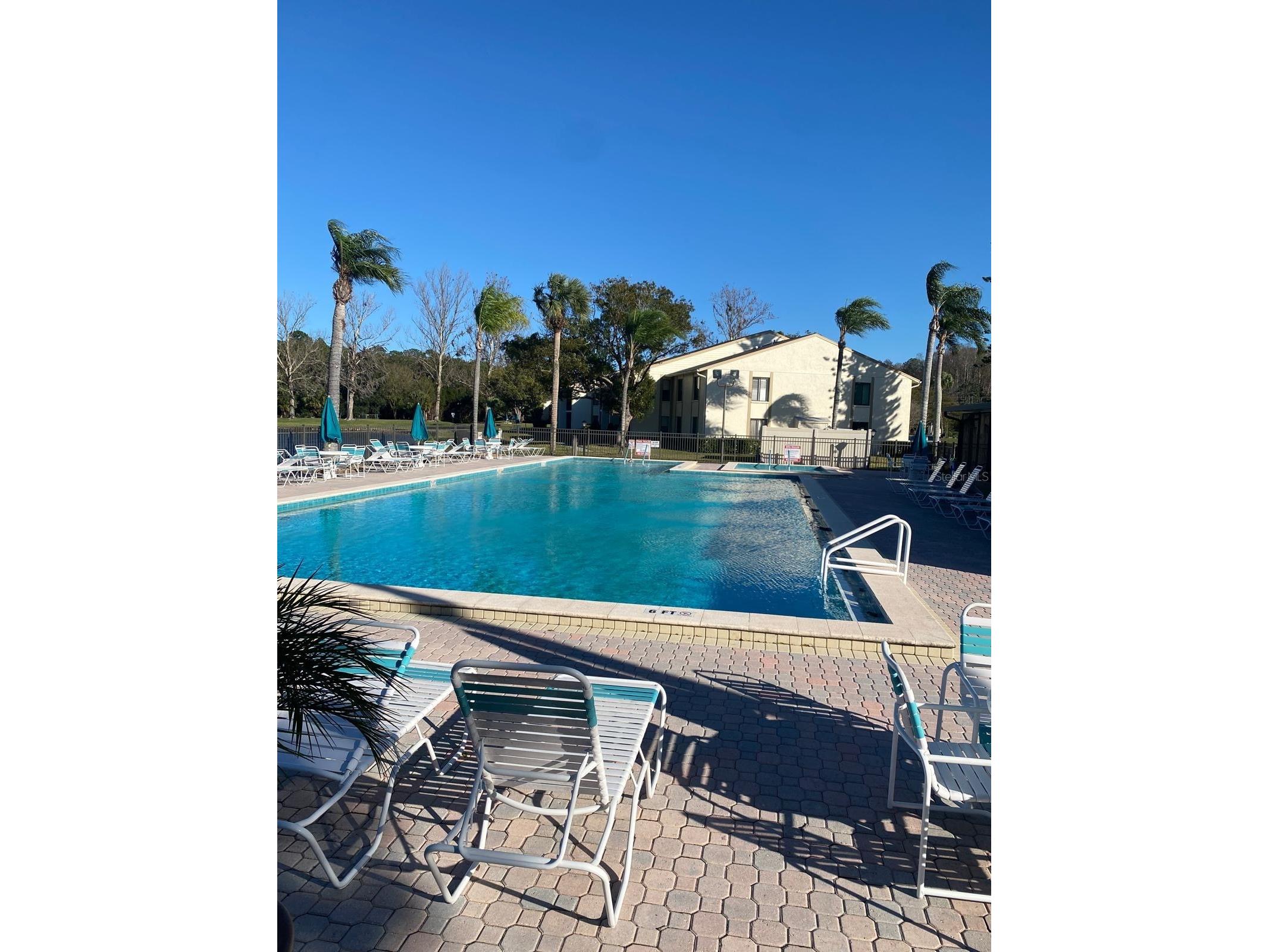 1333 Shady Pine Way #D Tarpon Springs FL 34688 TB8464204 image55