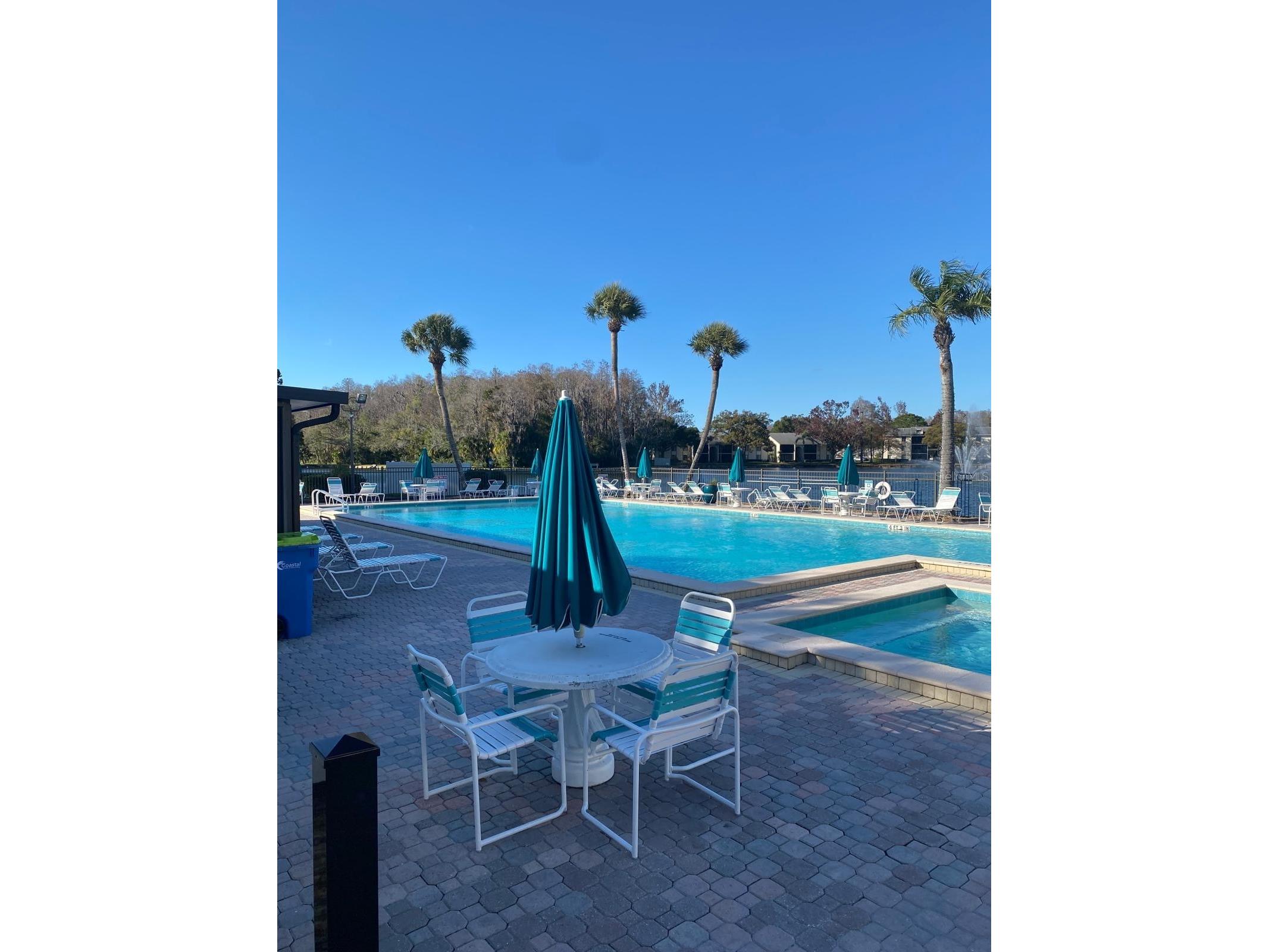 1333 Shady Pine Way #D Tarpon Springs FL 34688 TB8464204 image56