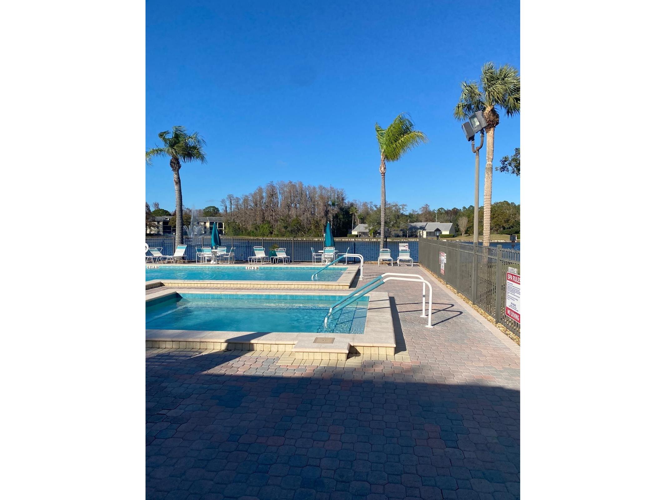 1333 Shady Pine Way #D Tarpon Springs FL 34688 TB8464204 image57