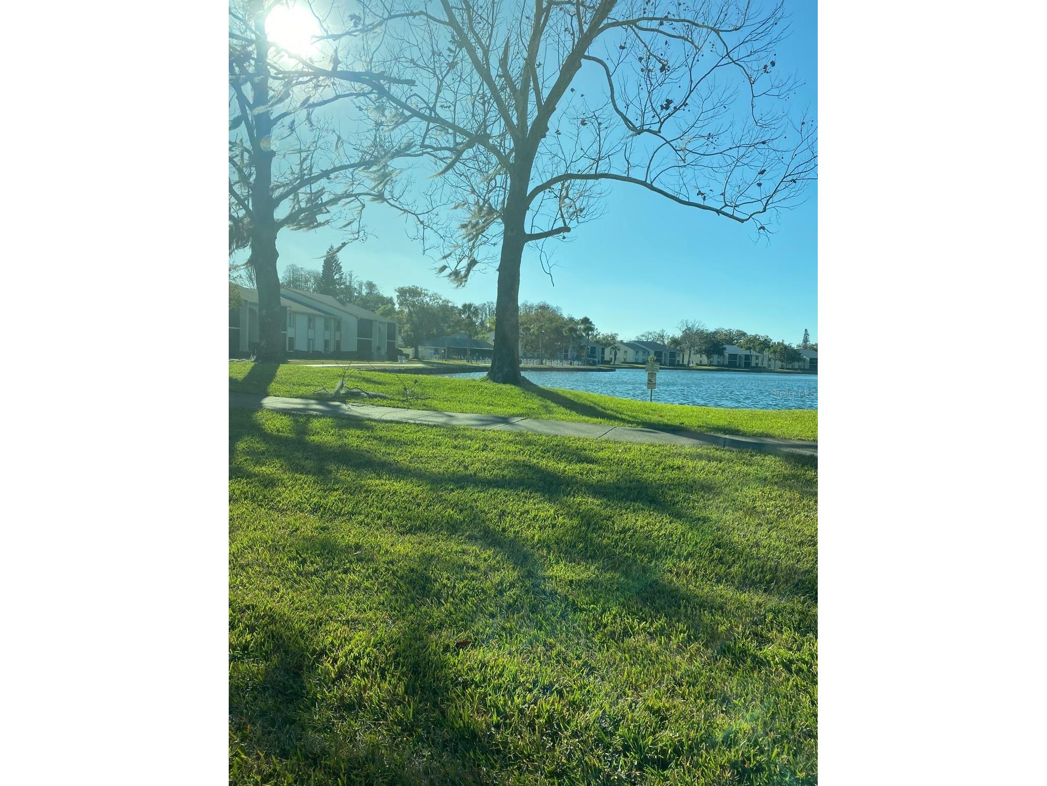 1333 Shady Pine Way #D Tarpon Springs FL 34688 TB8464204 image59