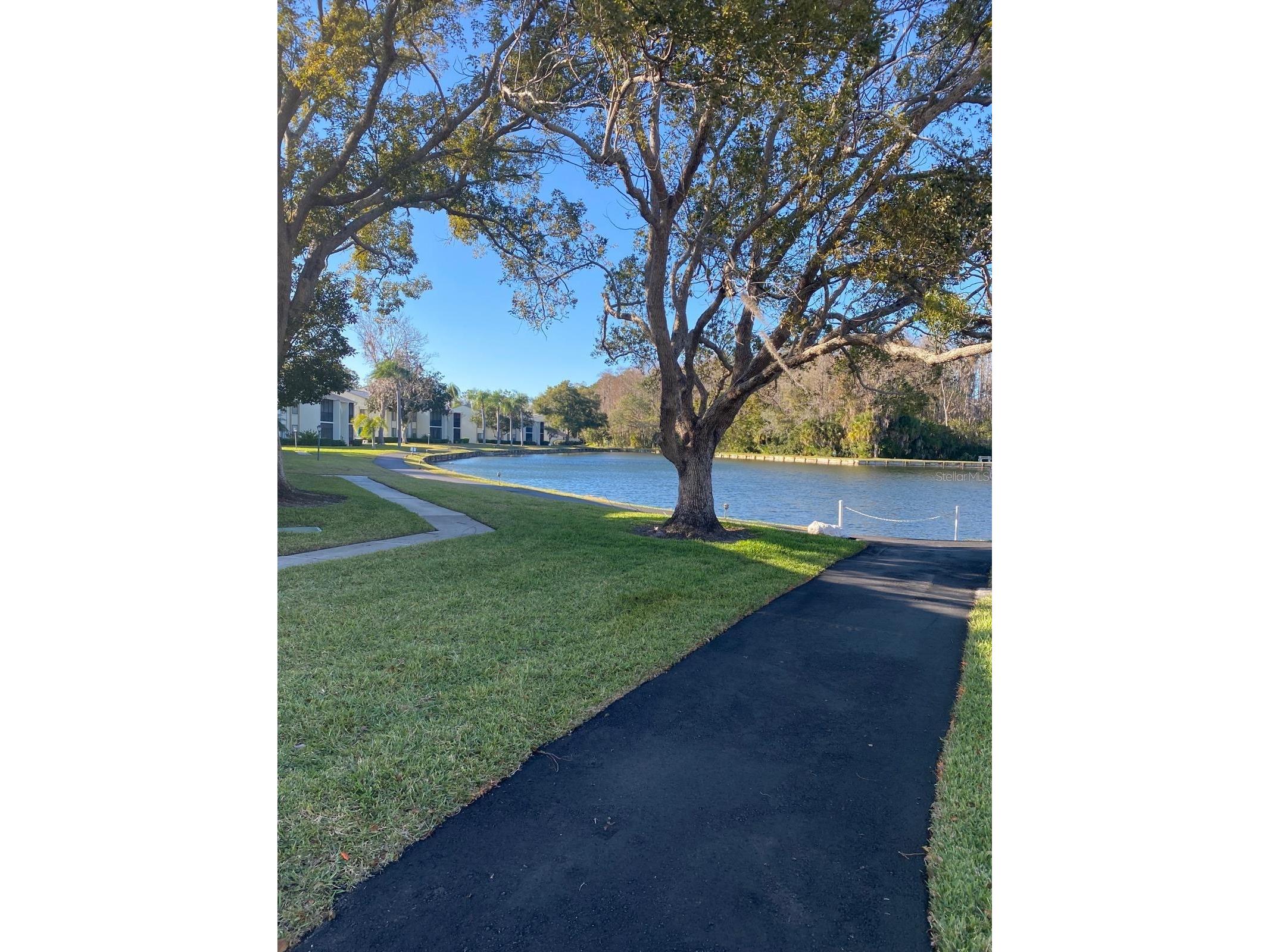 1333 Shady Pine Way #D Tarpon Springs FL 34688 TB8464204 image60