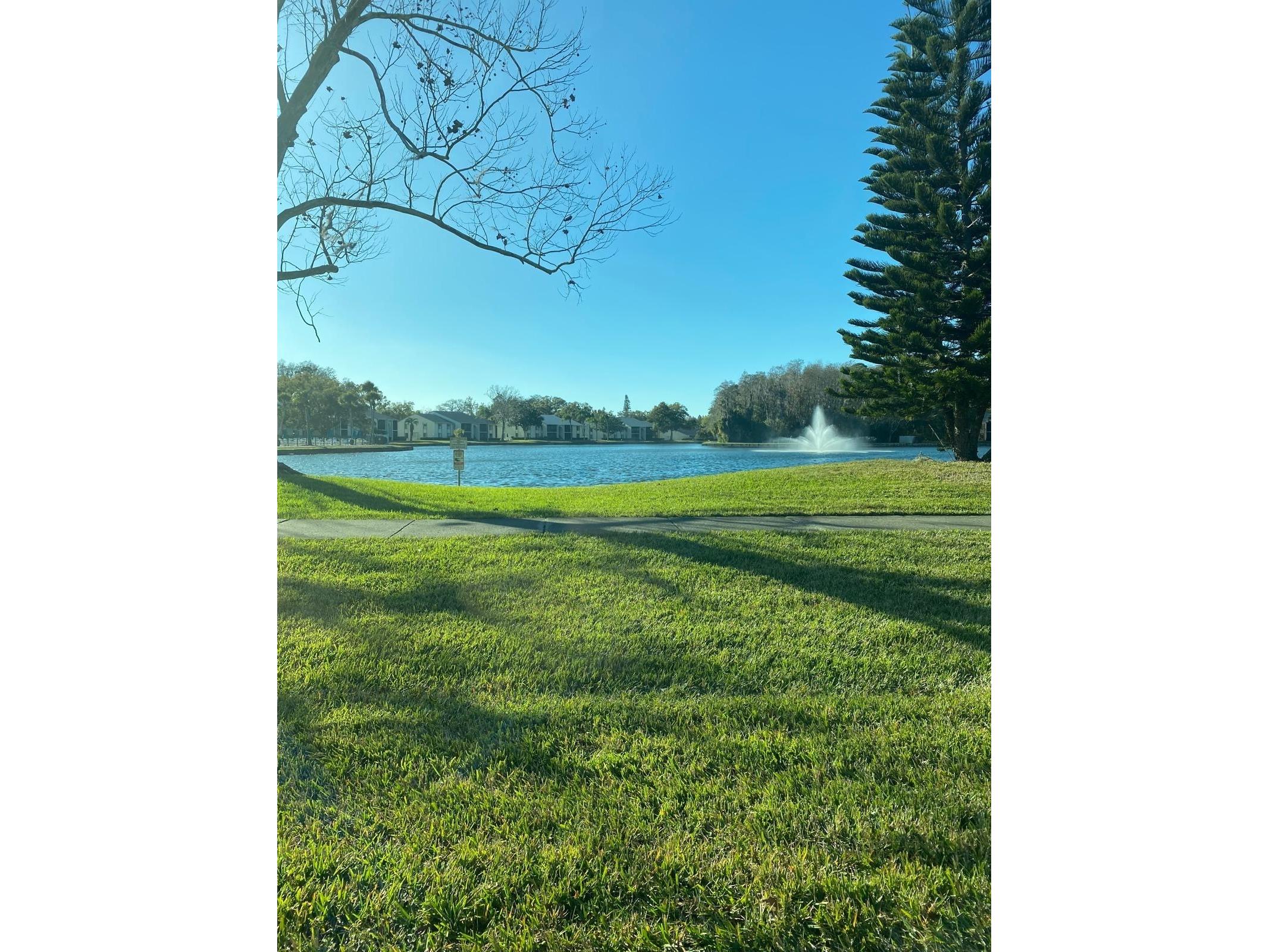 1333 Shady Pine Way #D Tarpon Springs FL 34688 TB8464204 image61