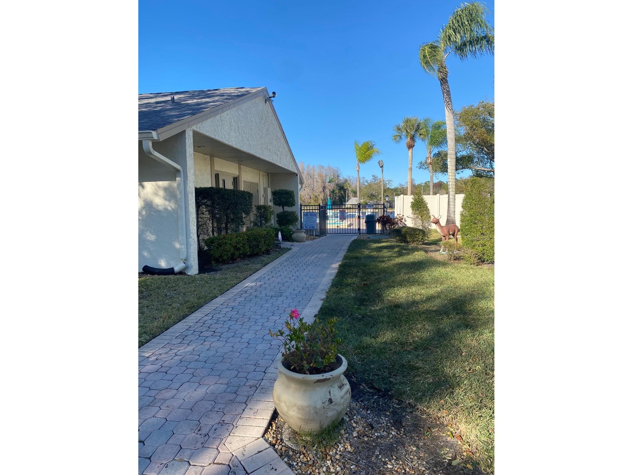 1333 Shady Pine Way #D Tarpon Springs FL 34688 TB8464204 image62