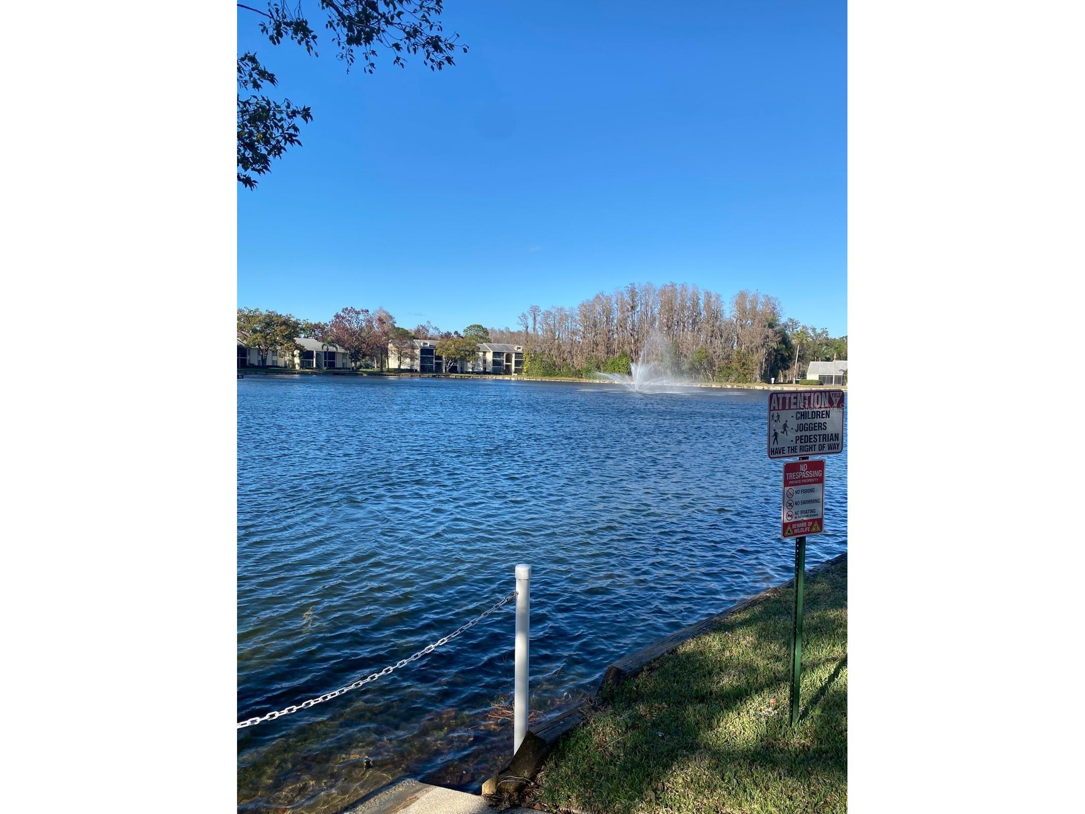 1333 Shady Pine Way #D Tarpon Springs FL 34688 TB8464204 image63