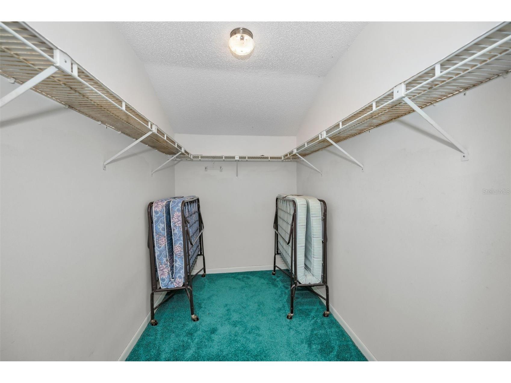 1333 Shady Pine Way #F Tarpon Springs FL 34688 TB8364422 image17