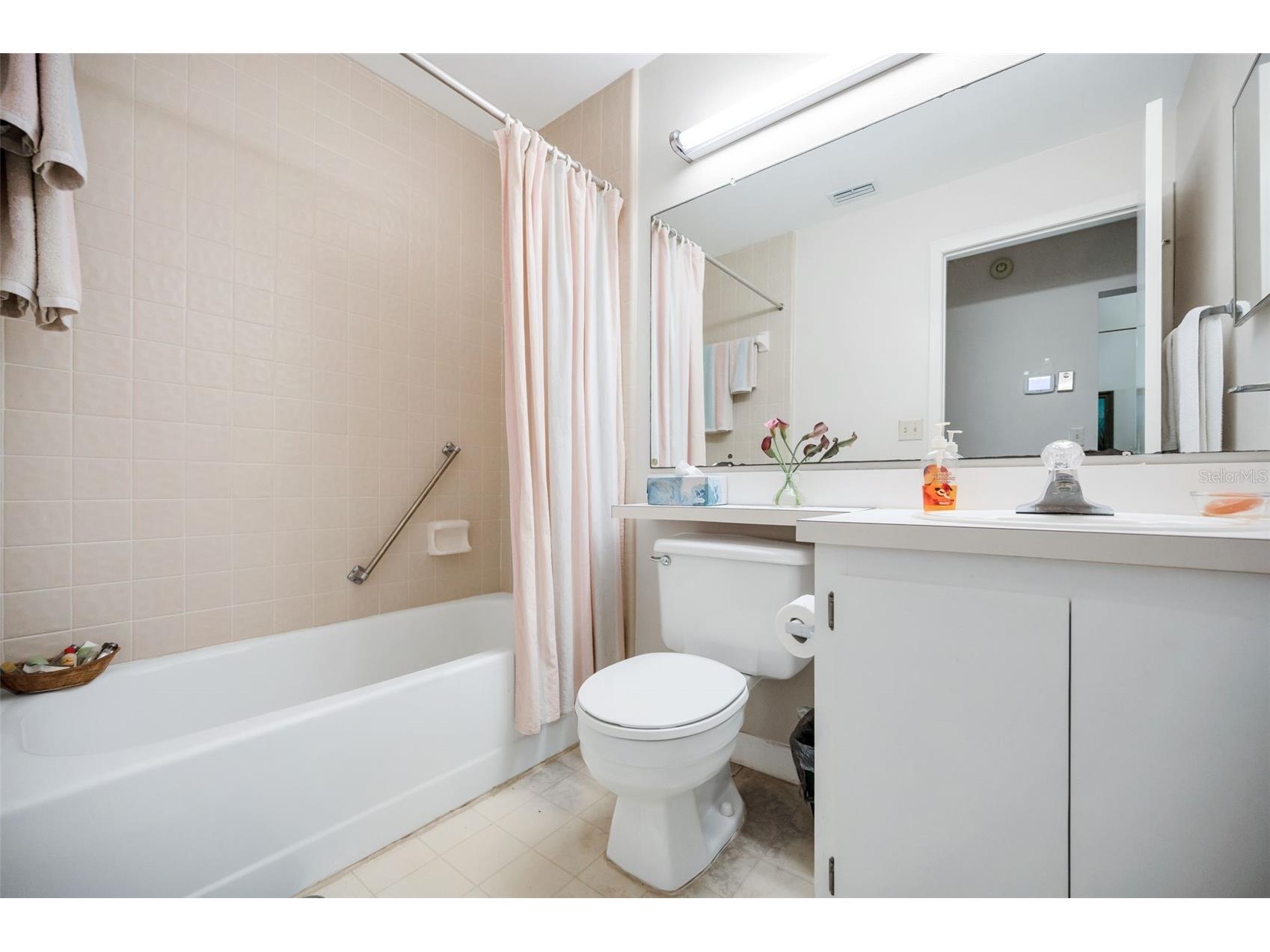 1333 Shady Pine Way #F Tarpon Springs FL 34688 TB8364422 image19