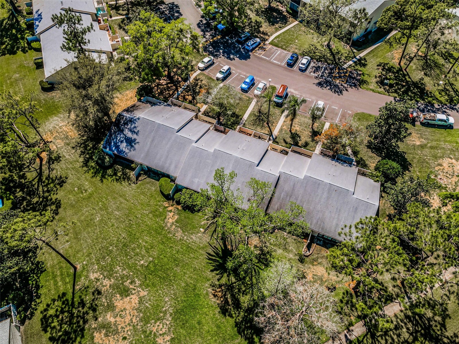 1333 Shady Pine Way #F Tarpon Springs FL 34688 TB8364422 image28