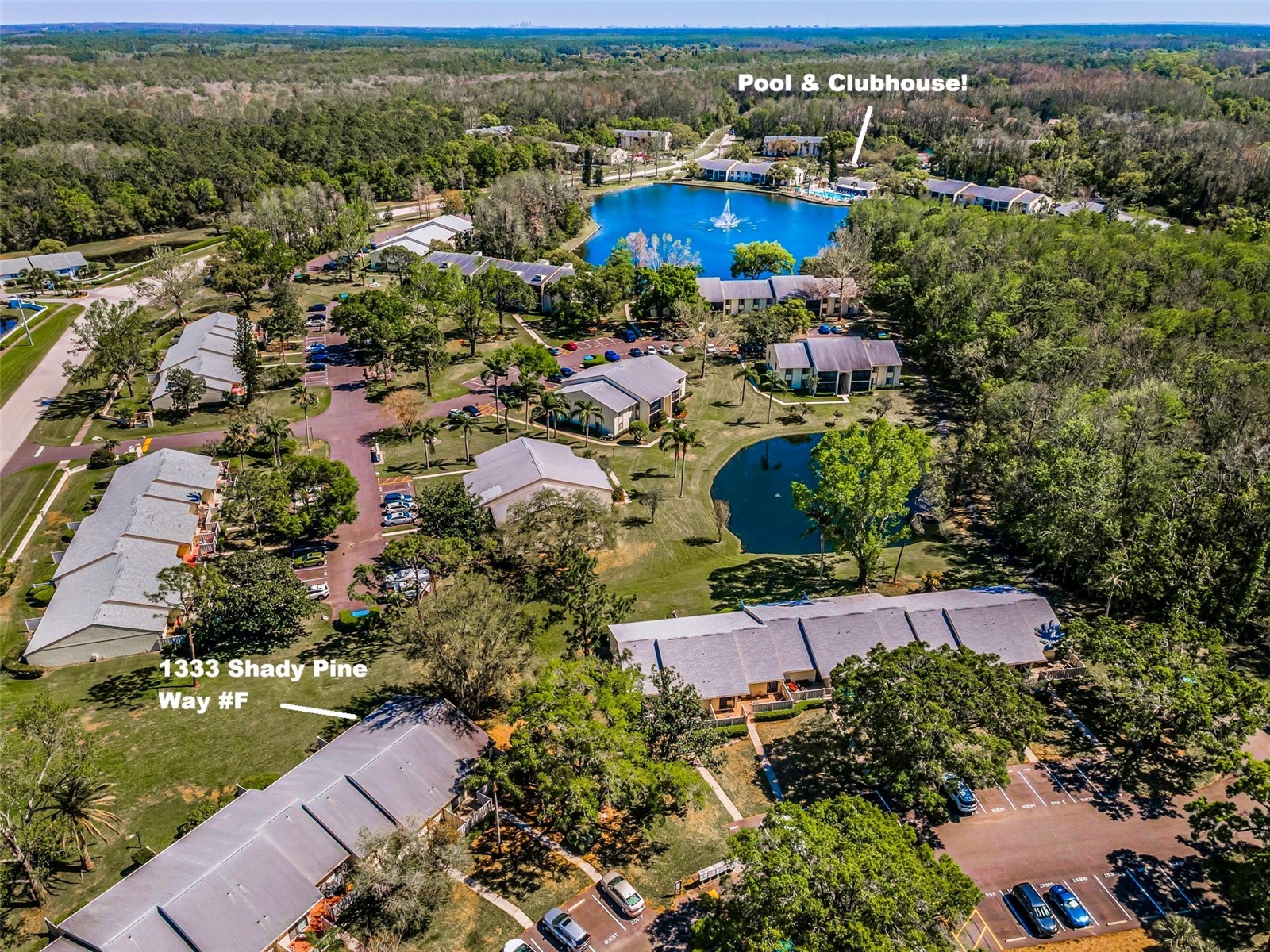 1333 Shady Pine Way #F Tarpon Springs FL 34688 TB8364422 image29