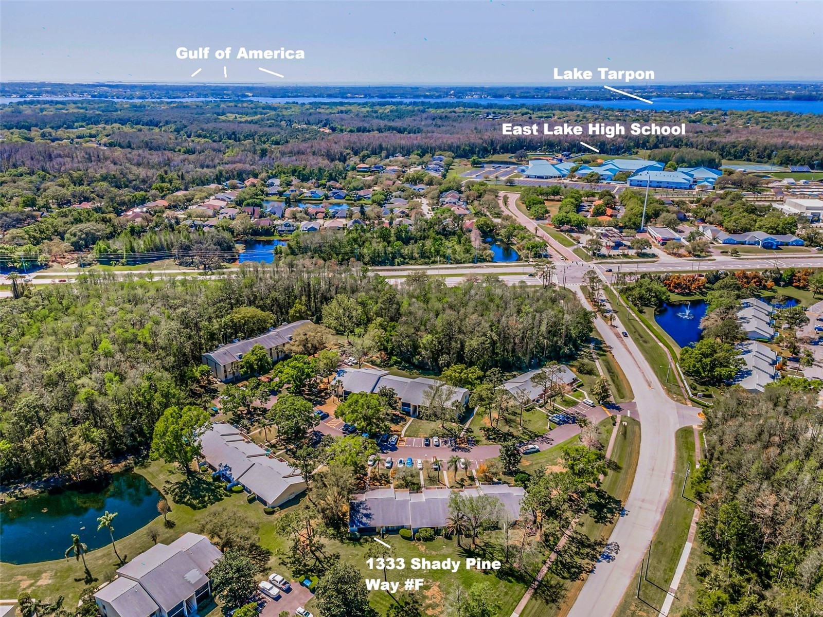 1333 Shady Pine Way #F Tarpon Springs FL 34688 TB8364422 image30