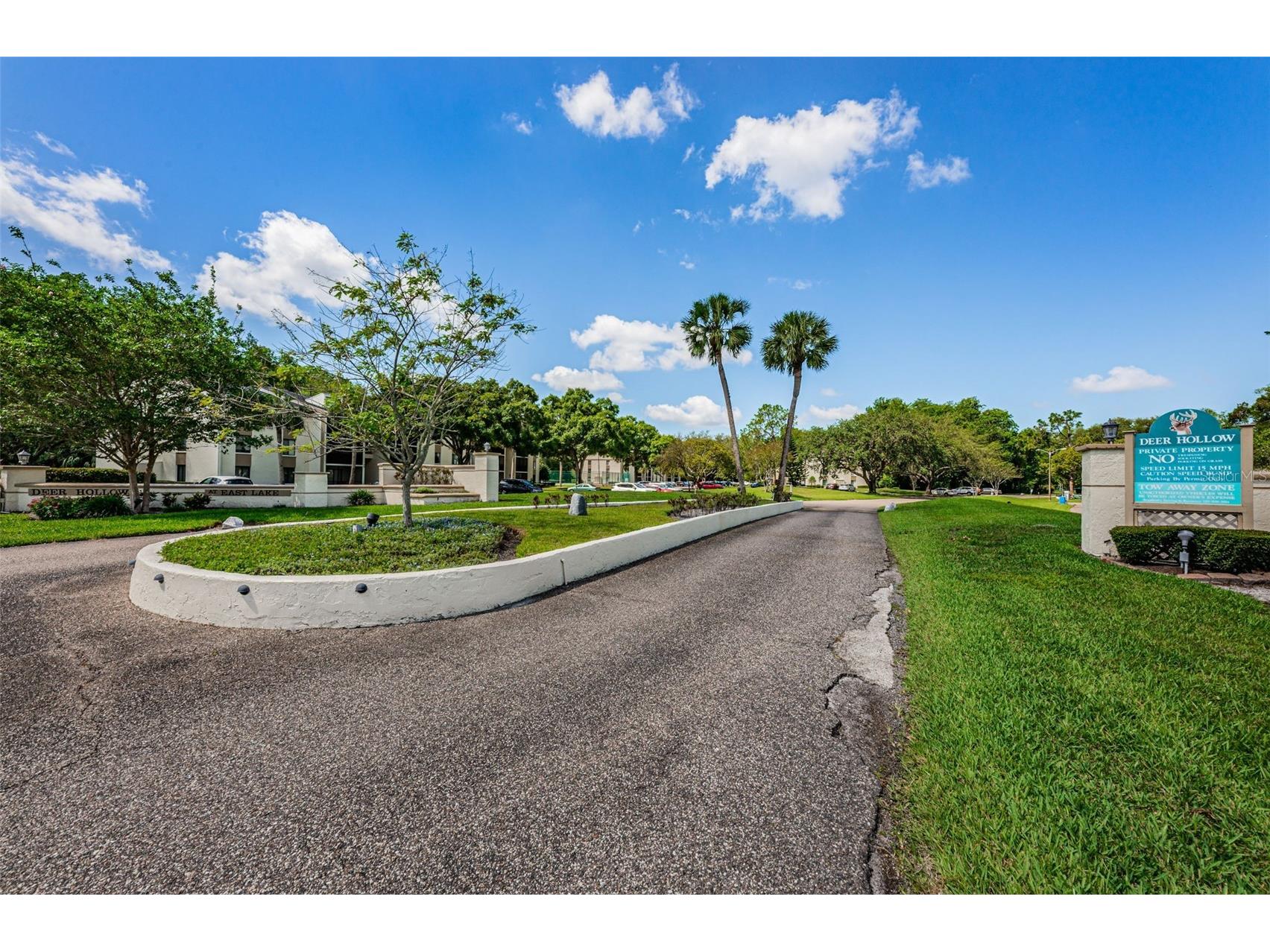 1333 Shady Pine Way #F Tarpon Springs FL 34688 TB8364422 image31