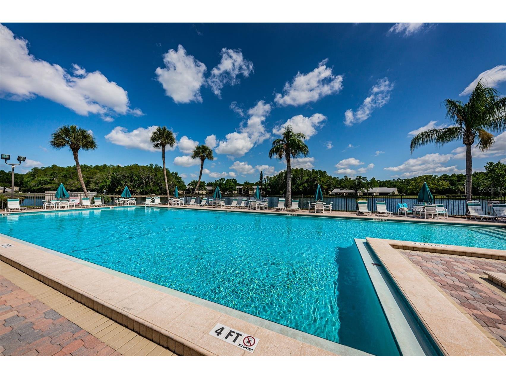 1333 Shady Pine Way #F Tarpon Springs FL 34688 TB8364422 image41