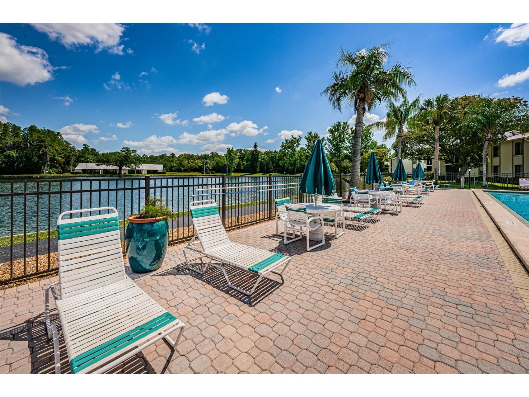 1333 Shady Pine Way #F Tarpon Springs FL 34688 TB8364422 image43