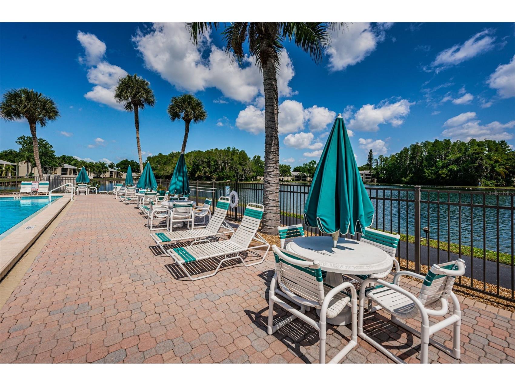 1333 Shady Pine Way #F Tarpon Springs FL 34688 TB8364422 image44