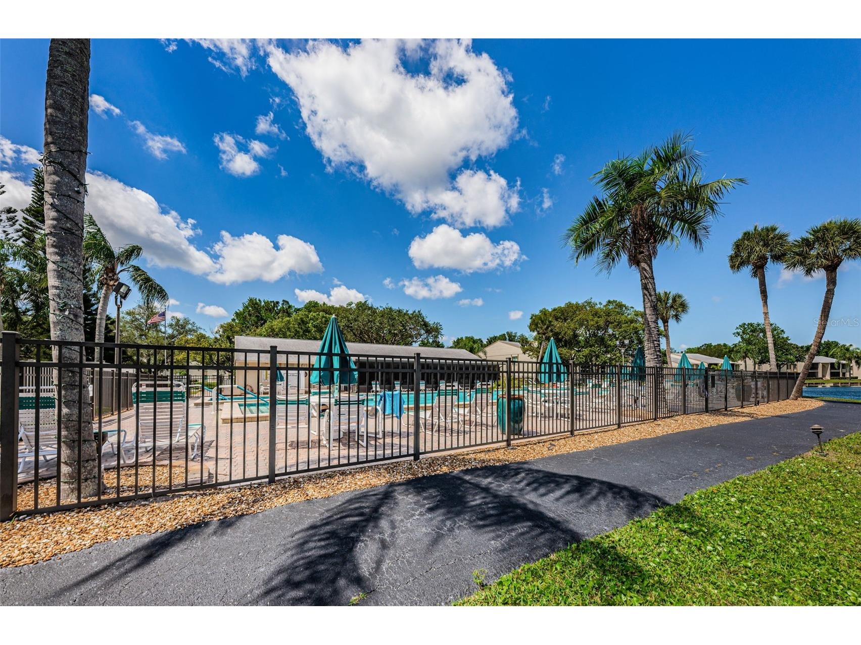 1333 Shady Pine Way #F Tarpon Springs FL 34688 TB8364422 image45