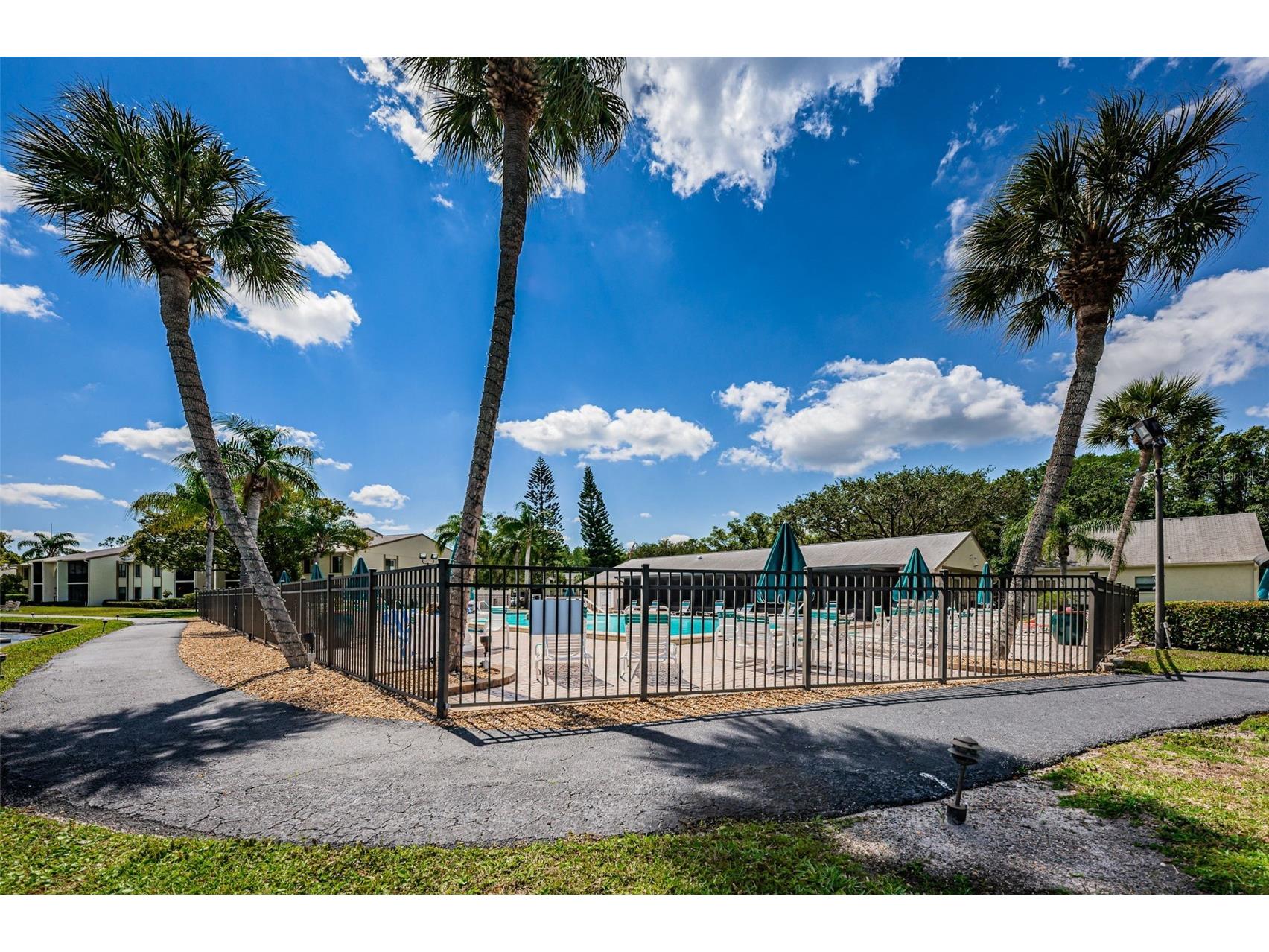 1333 Shady Pine Way #F Tarpon Springs FL 34688 TB8364422 image48