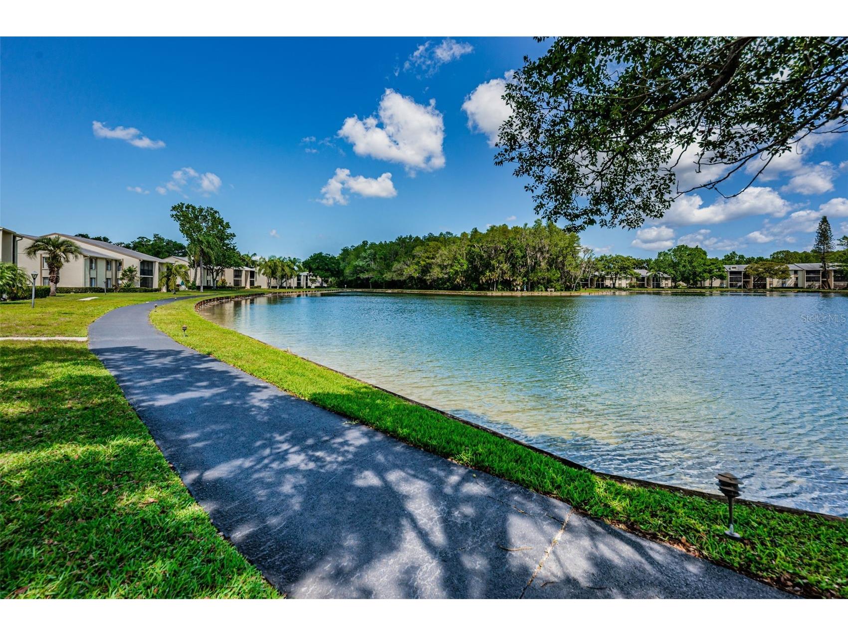 1333 Shady Pine Way #F Tarpon Springs FL 34688 TB8364422 image49