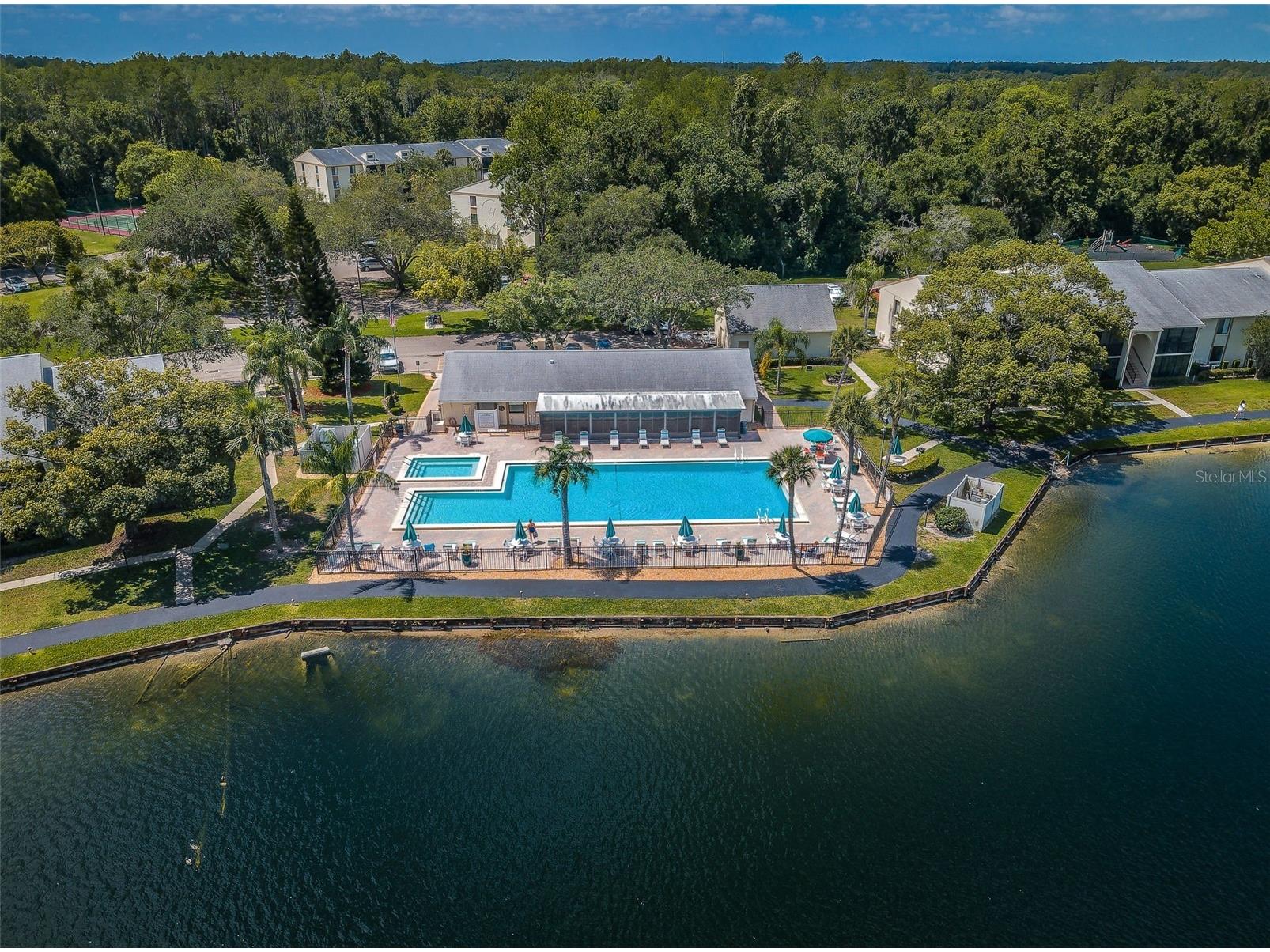 1333 Shady Pine Way #F Tarpon Springs FL 34688 TB8364422 image53