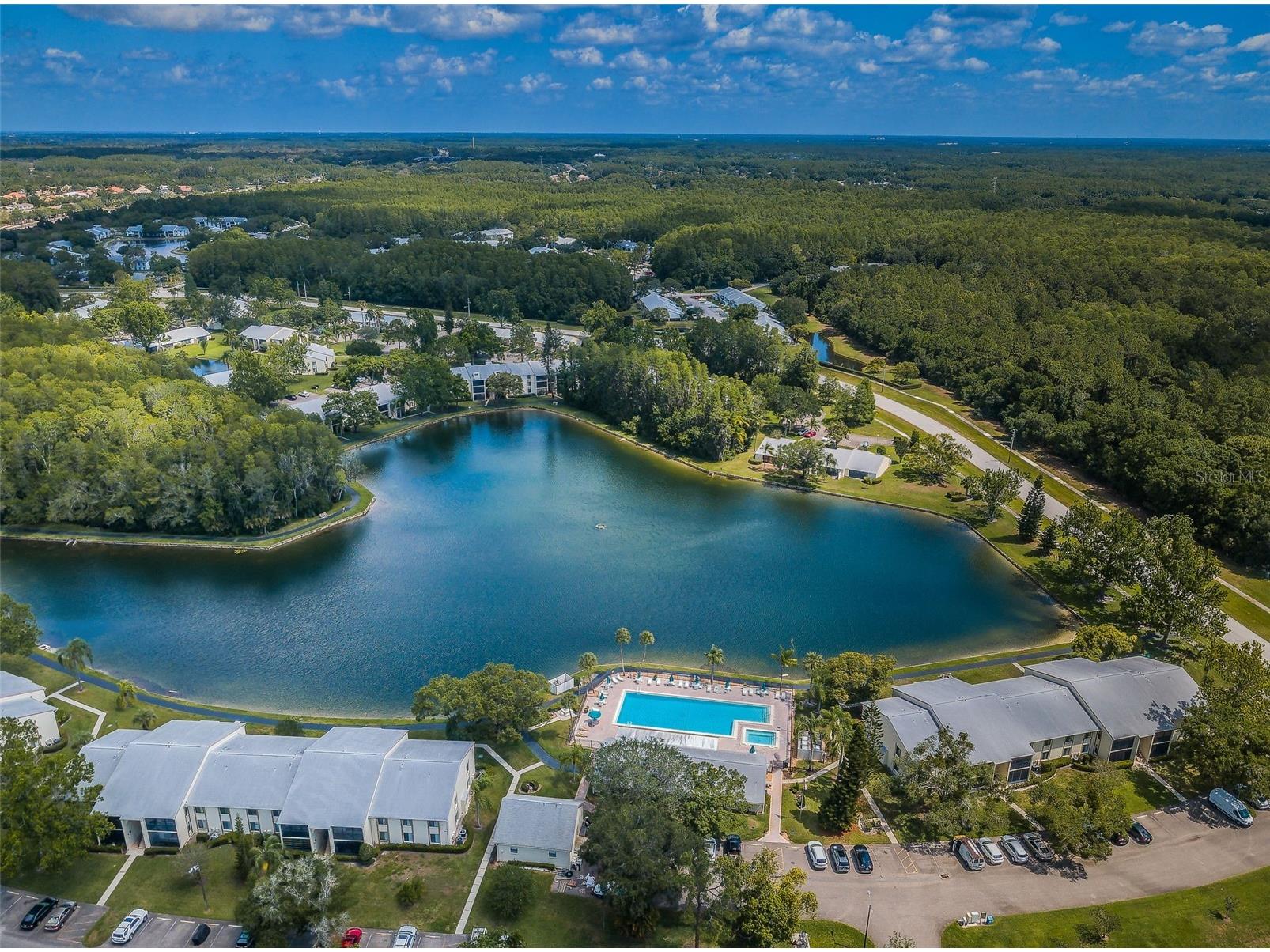 1333 Shady Pine Way #F Tarpon Springs FL 34688 TB8364422 image54