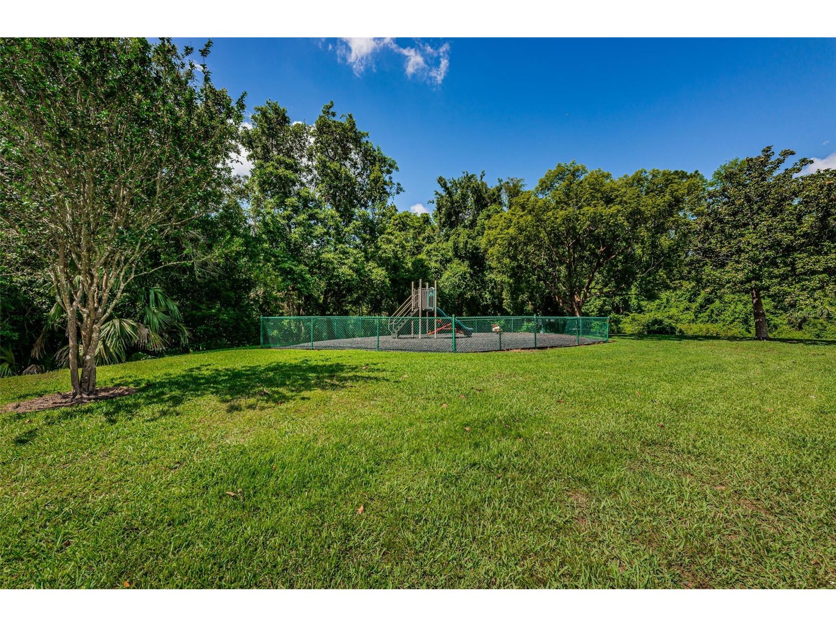 1333 Shady Pine Way #F Tarpon Springs FL 34688 TB8364422 image58