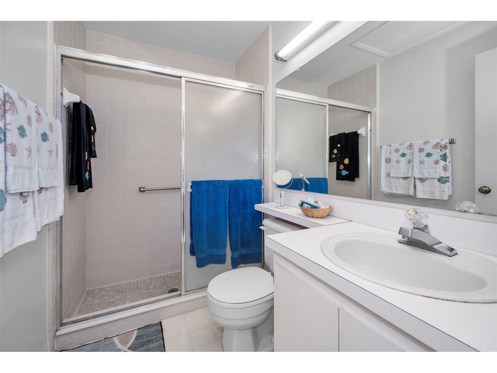 1333 Shady Pine Way #F Tarpon Springs FL 34688 TB8525963 image15