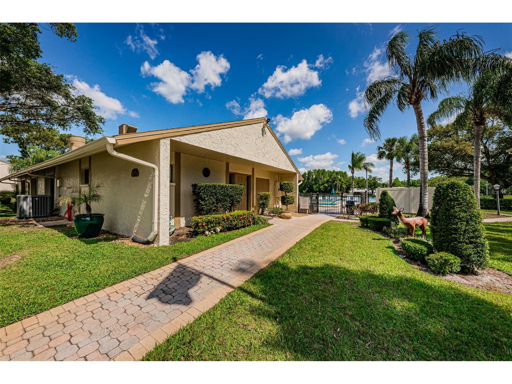 1333 Shady Pine Way #F Tarpon Springs FL 34688 TB8525963 image26