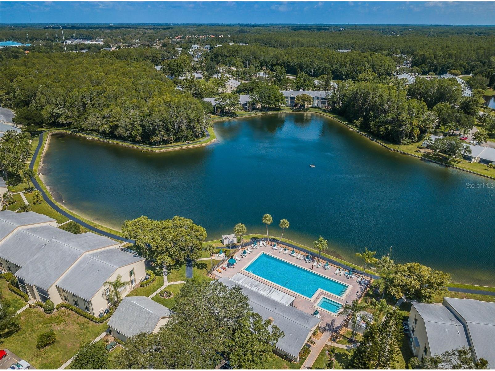 1333 Shady Pine Way #F Tarpon Springs FL 34688 TB8525963 image27