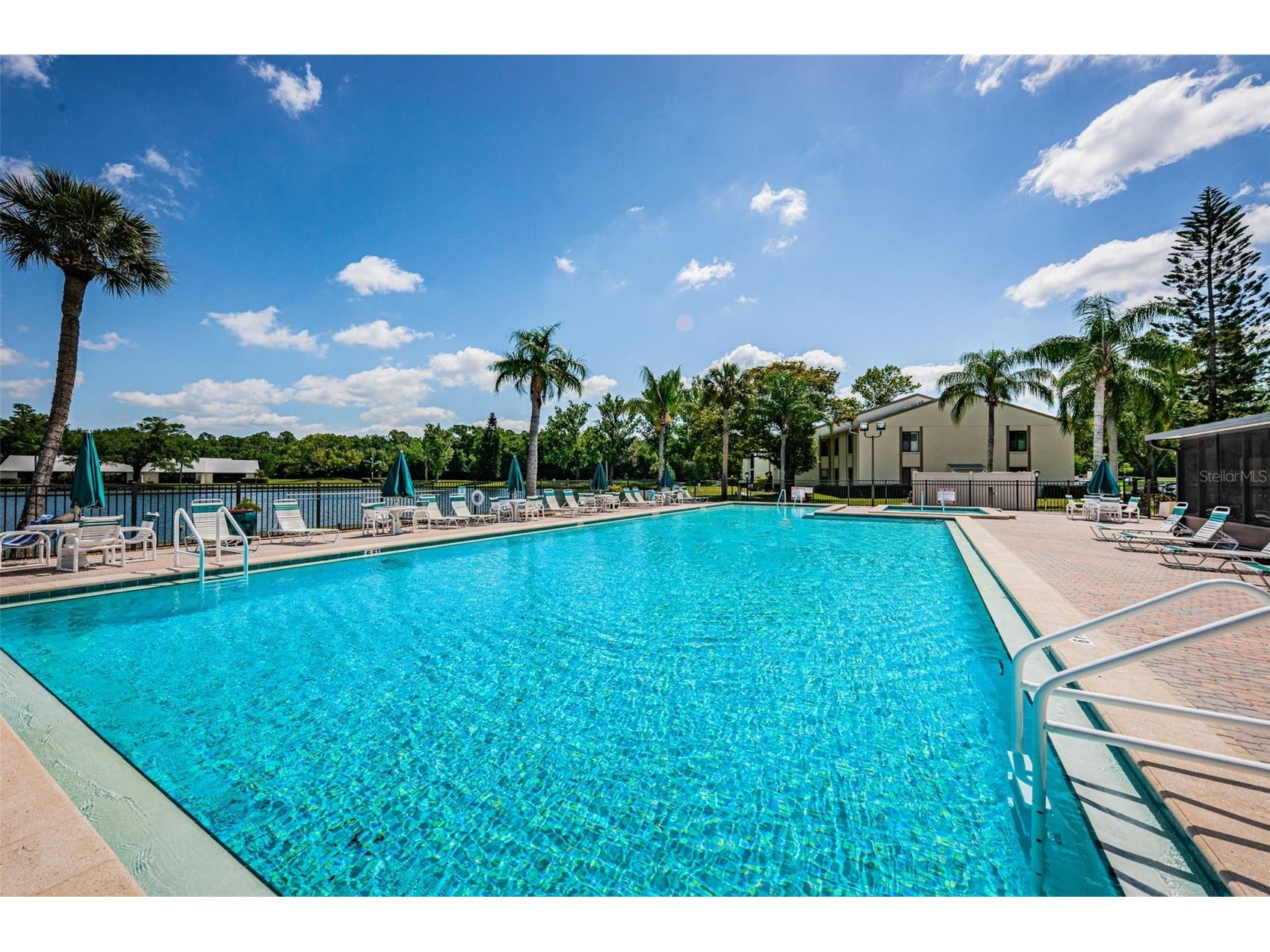 1333 Shady Pine Way #F Tarpon Springs FL 34688 TB8525963 image30