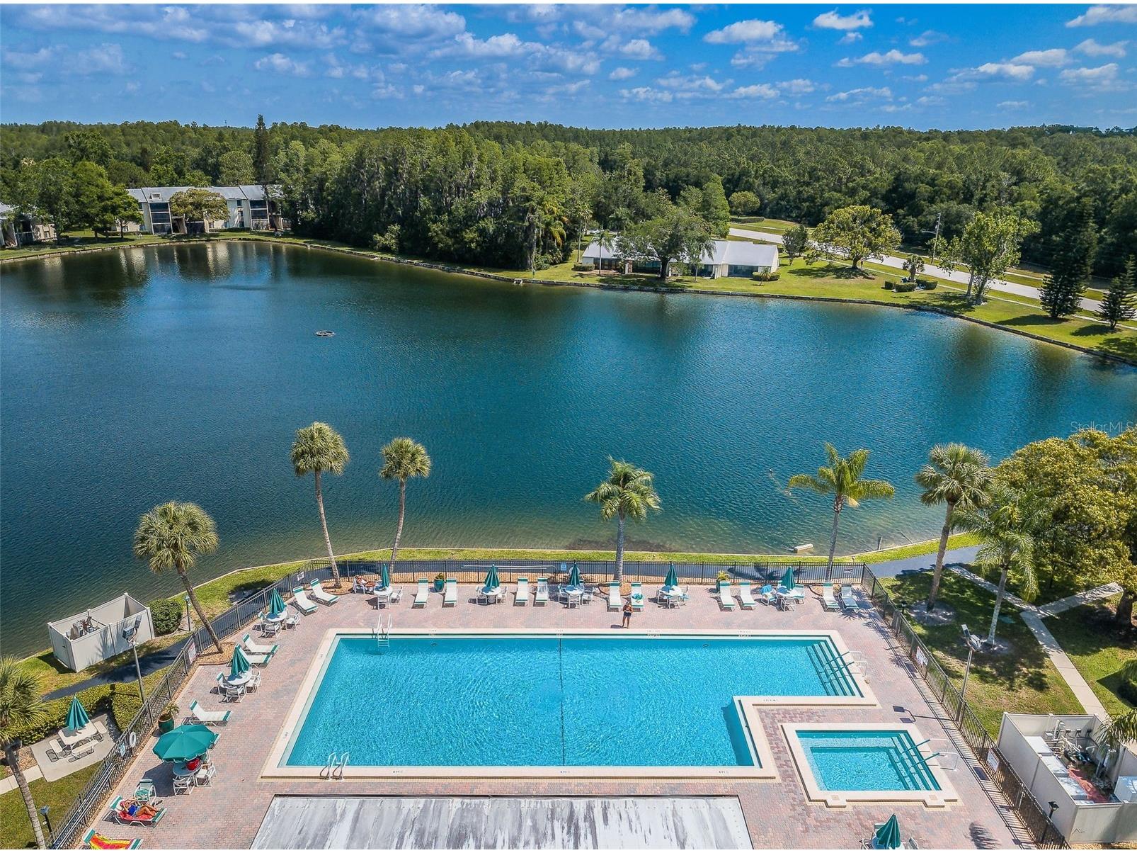 1333 Shady Pine Way #F Tarpon Springs FL 34688 TB8525963 image32