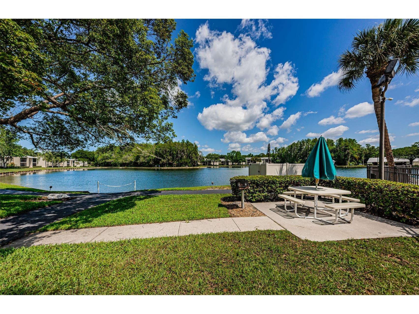 1333 Shady Pine Way #F Tarpon Springs FL 34688 TB8525963 image36