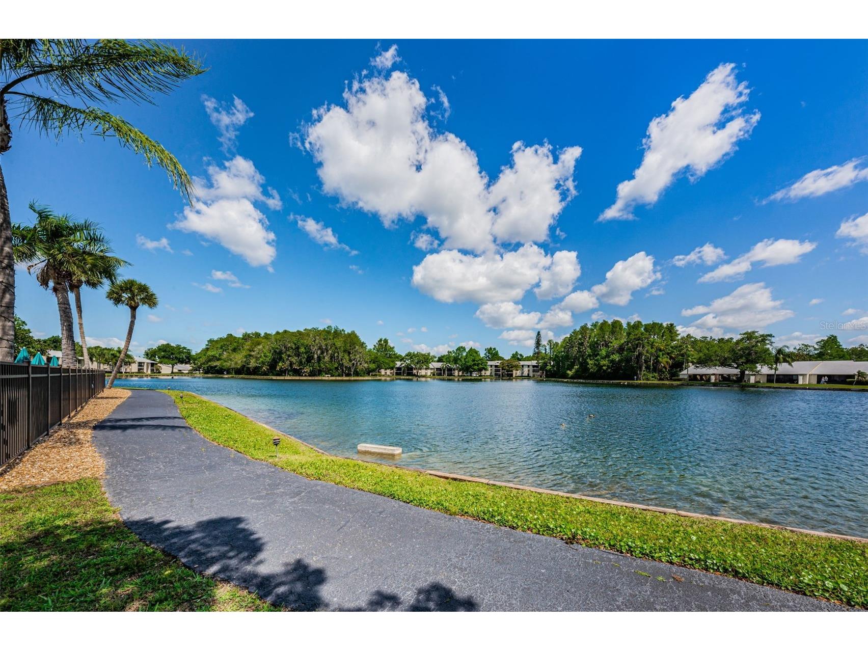 1333 Shady Pine Way #F Tarpon Springs FL 34688 TB8525963 image37