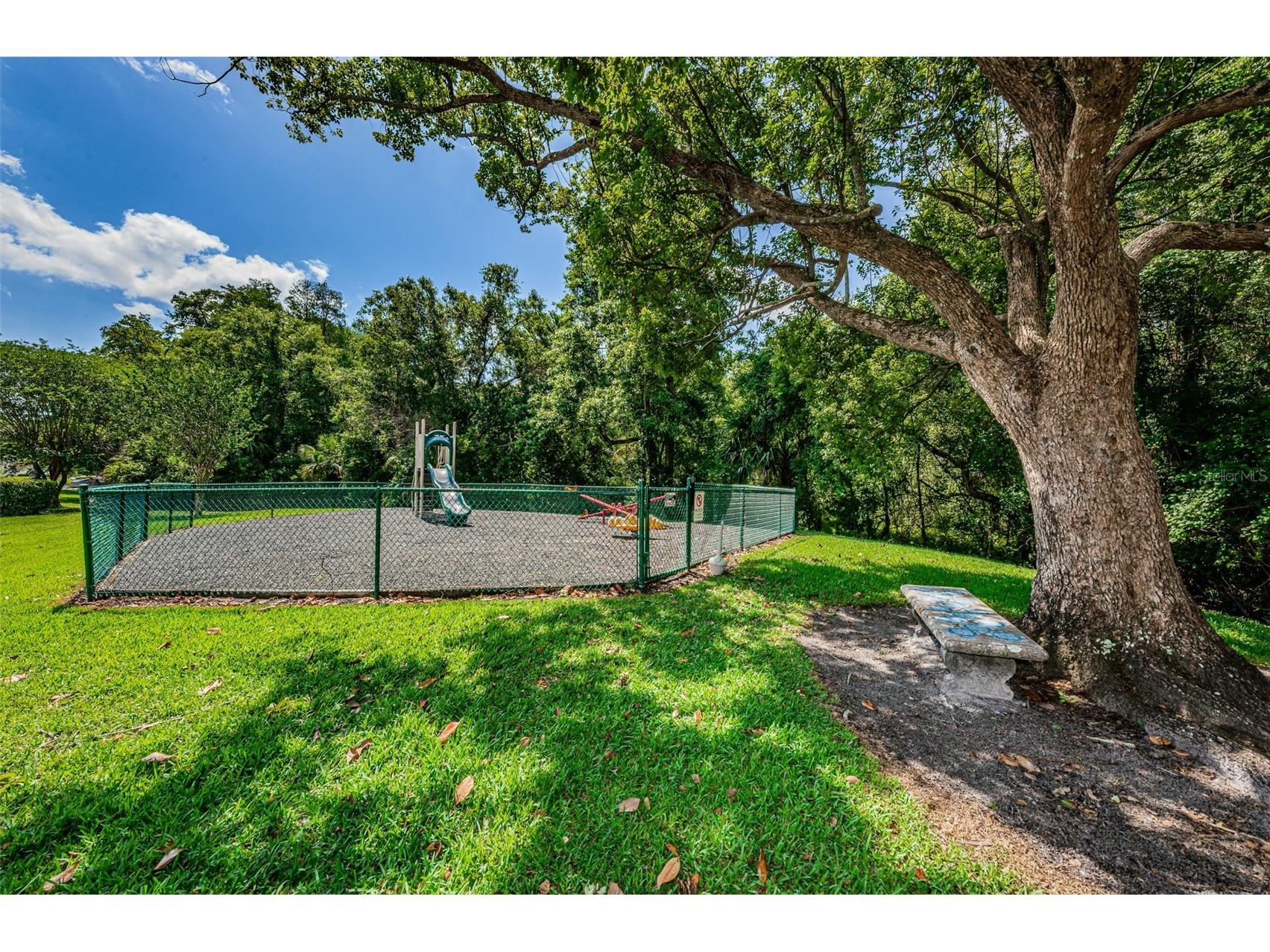 1333 Shady Pine Way #F Tarpon Springs FL 34688 TB8525963 image38